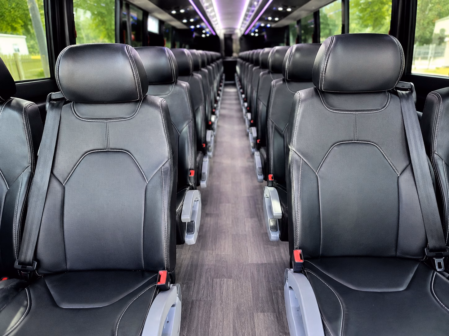 affordable st petersburg wedding charter bus prices for every budget