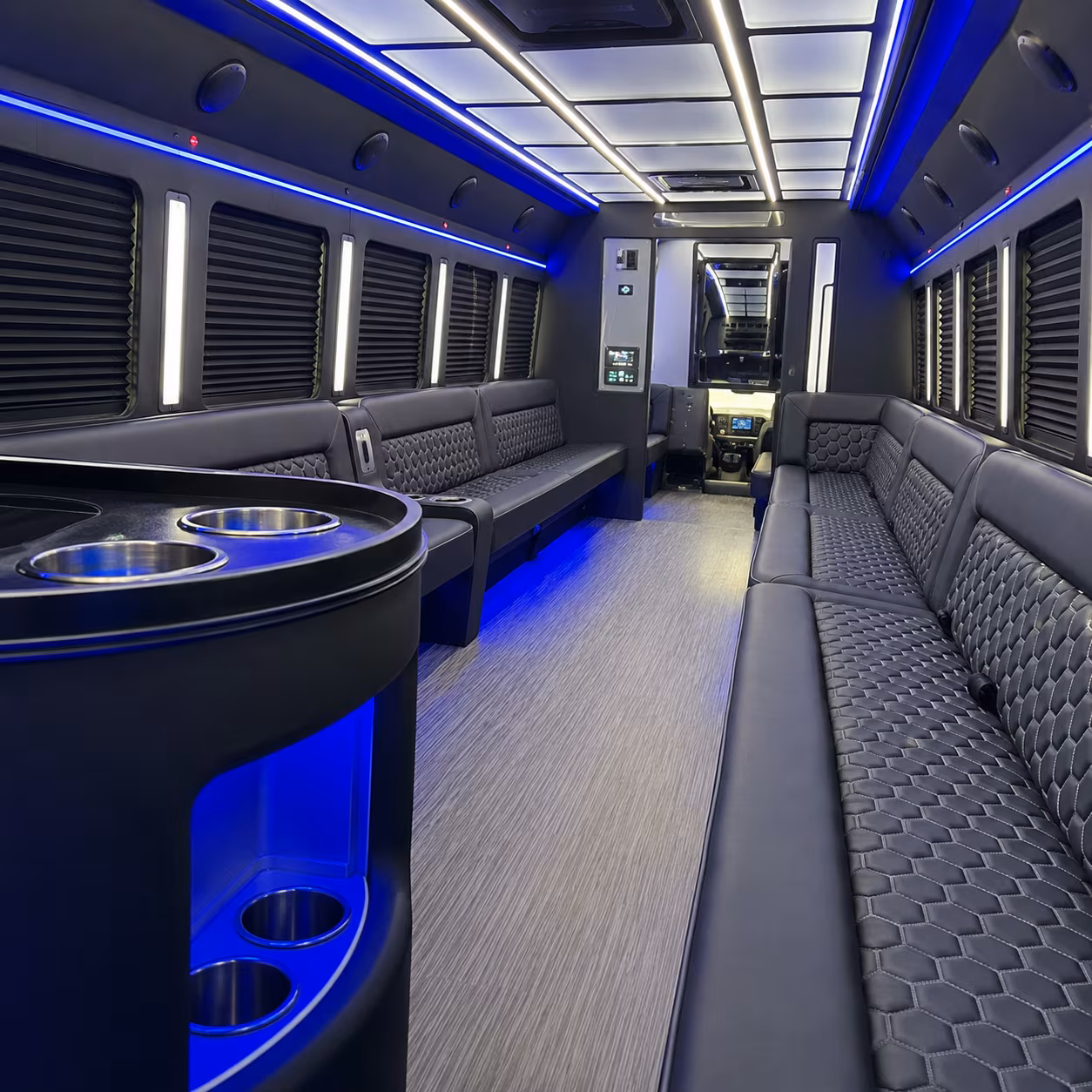 hit every photo stop in your st petersburg party bus before the dance
