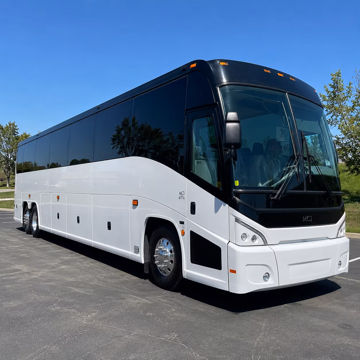 st petersburg charter bus tours to everglades national park and congaree national park