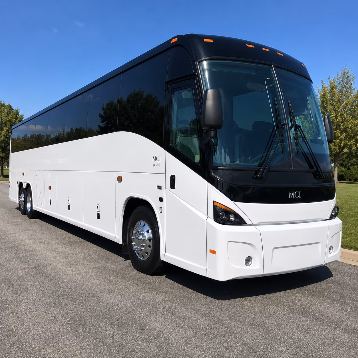 st petersburg family reunion and vacation bus rentals